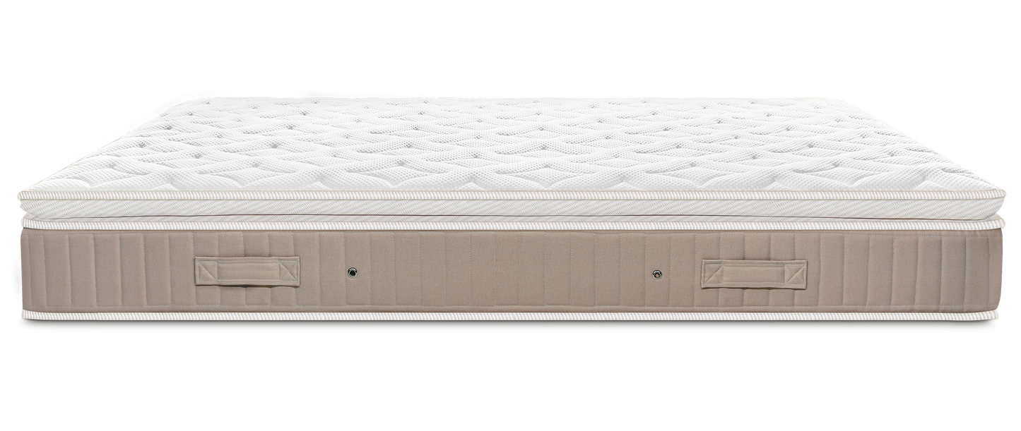 CAMBRA MAGISTRAL SUITE